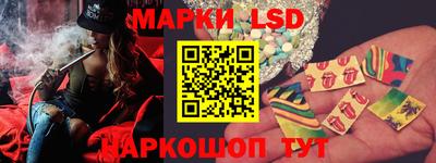 прущие грибы Комсомольск-на-Амуре