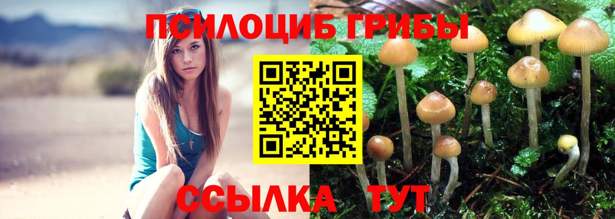 Псилоцибиновые грибы GOLDEN TEACHER  Галлюциногенные грибы Psilocybe  Кимры  Вход с VPN 